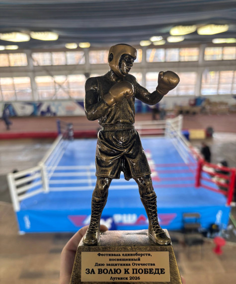 Алчевские боксеры стали победителями и призерами первенства по боксу.